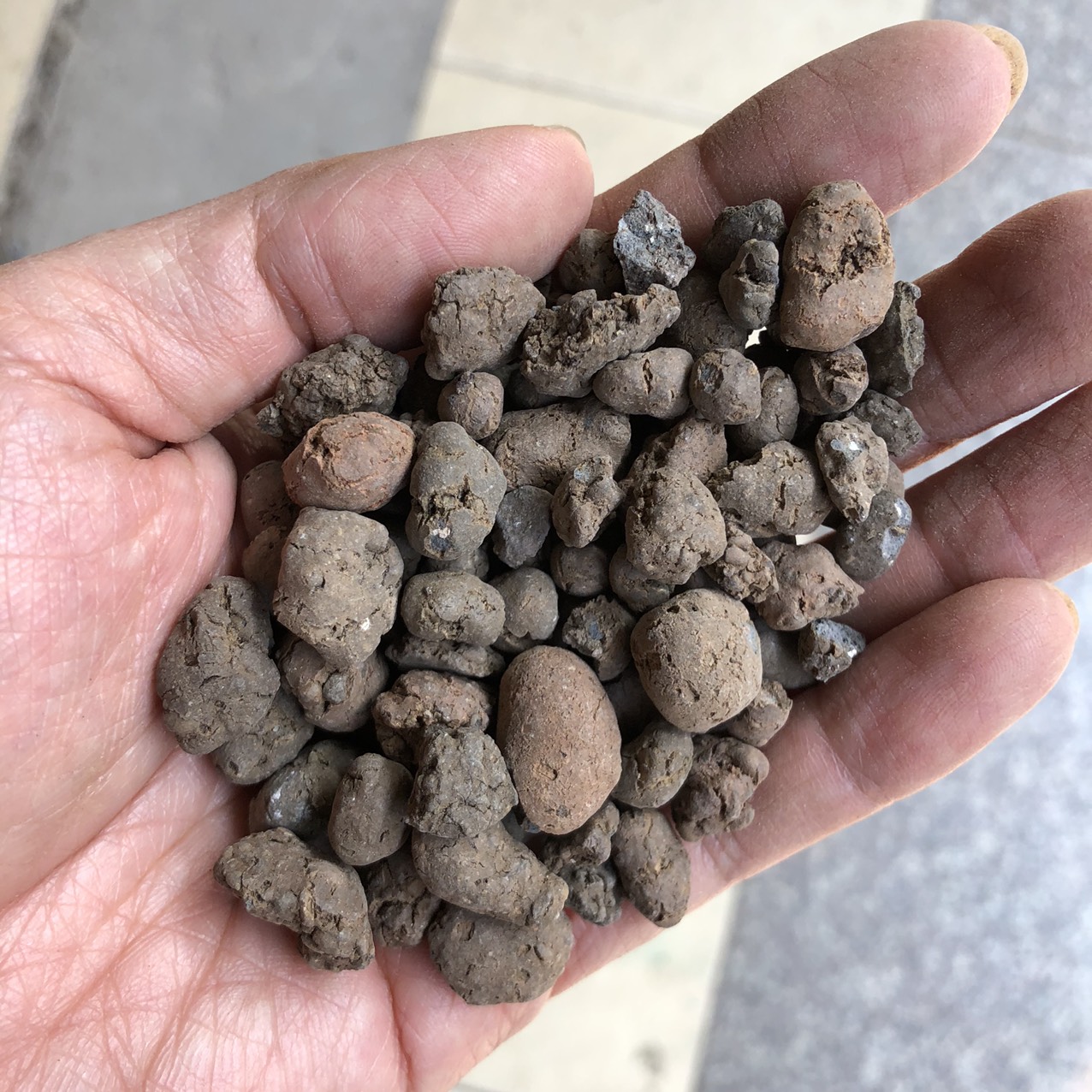 Viên đất nung Sfarm size nhỏ 5-10mm trồng rau aquaponics chuyên dụng